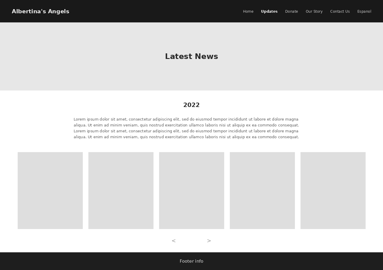 Low-fidelity wireframe of the updates feed, a placeholder year heading, body text, and a row of gray photo placeholders with arrow navigation
