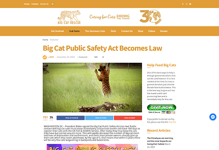 Original Big Cat Rescue website, logo, navigation, and a news article with sidebar widgets, in the site's dated, cluttered layout
