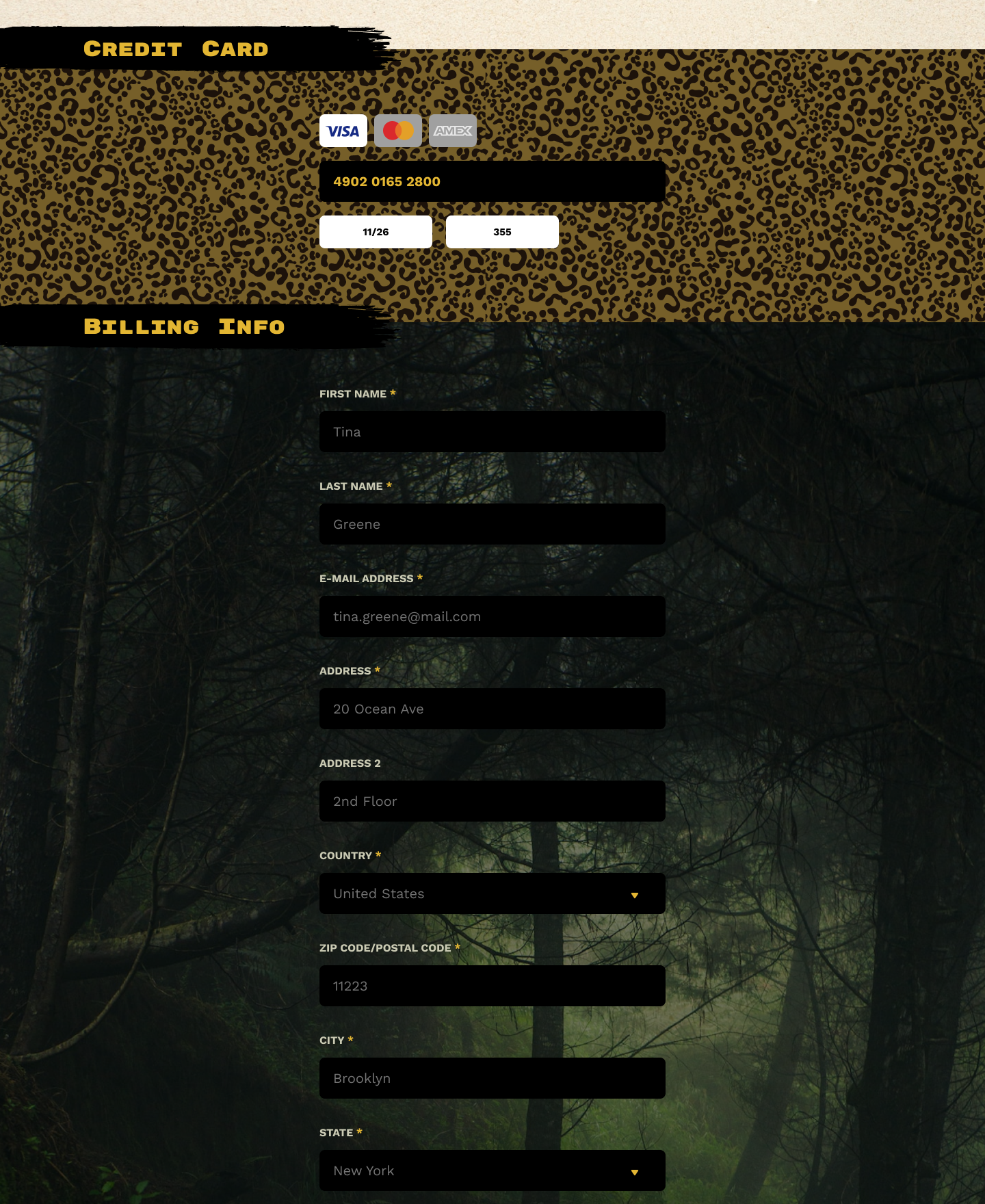 Donation page credit card entry and billing info form fields