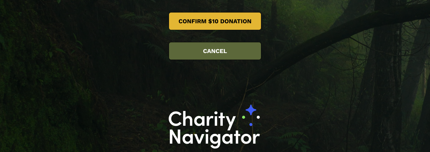 Donation page confirm button and Charity Navigator 4-star trust badge
