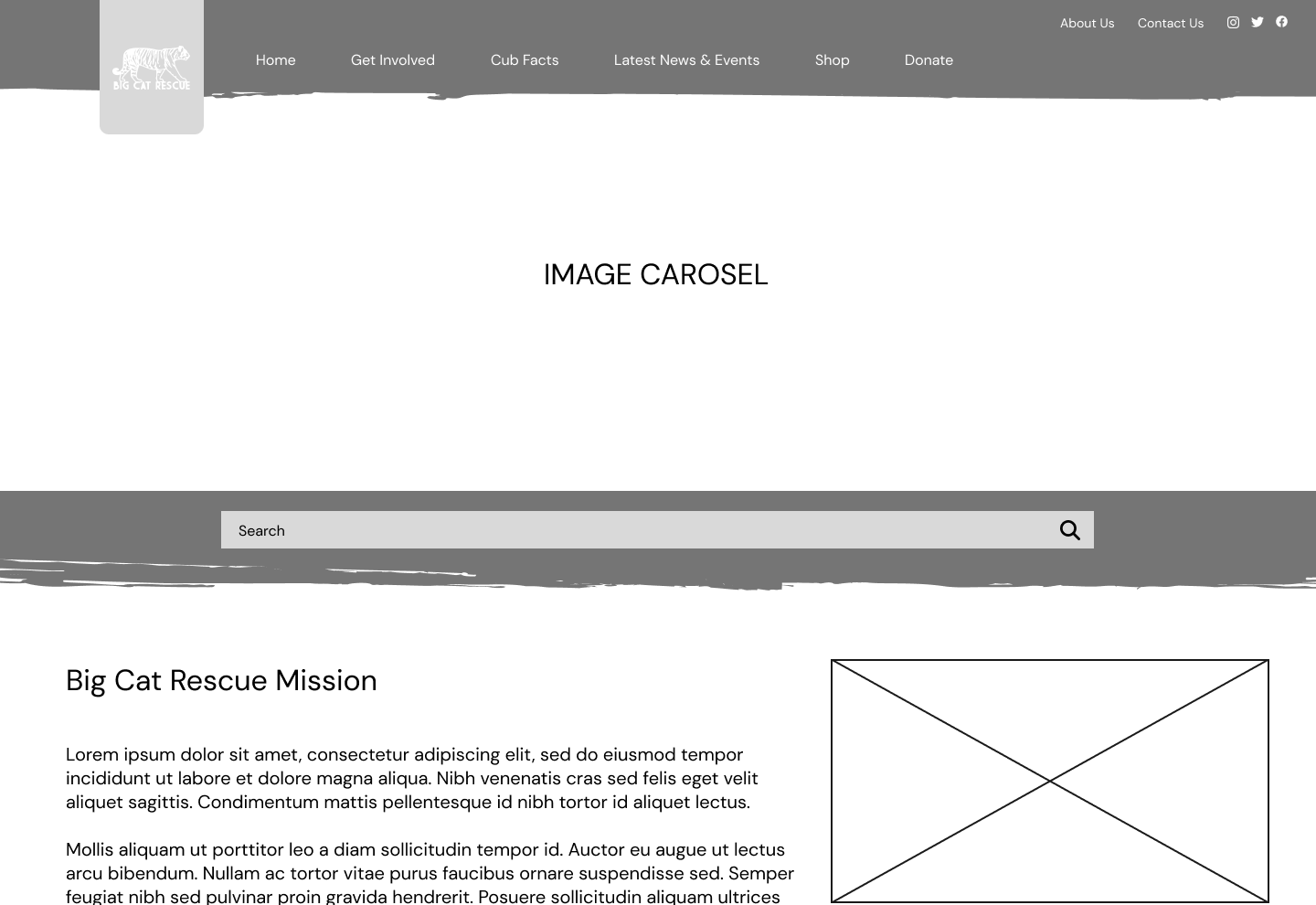 Low-fidelity wireframe of the Big Cat Rescue homepage redesign, showing grayscale layout blocks for nav, image carousel, search bar, and mission section