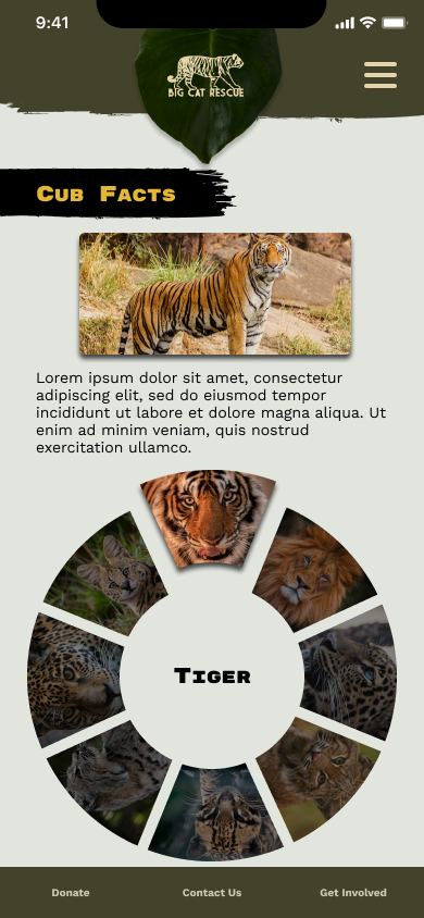 Final high-fidelity Cub Facts wheel, a circular arrangement of tiger, leopard, jaguar, and other big cat photos around a center label reading Tiger