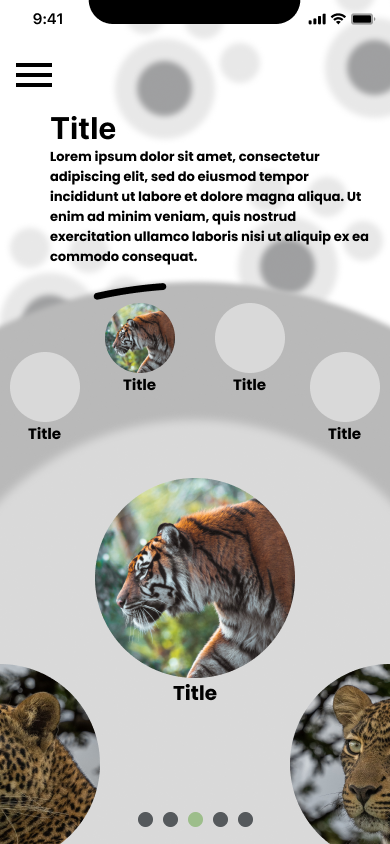 Low-fidelity wireframe of the Cub Facts wheel, gray placeholder circles arranged around a center title, with a dot pagination indicator below
