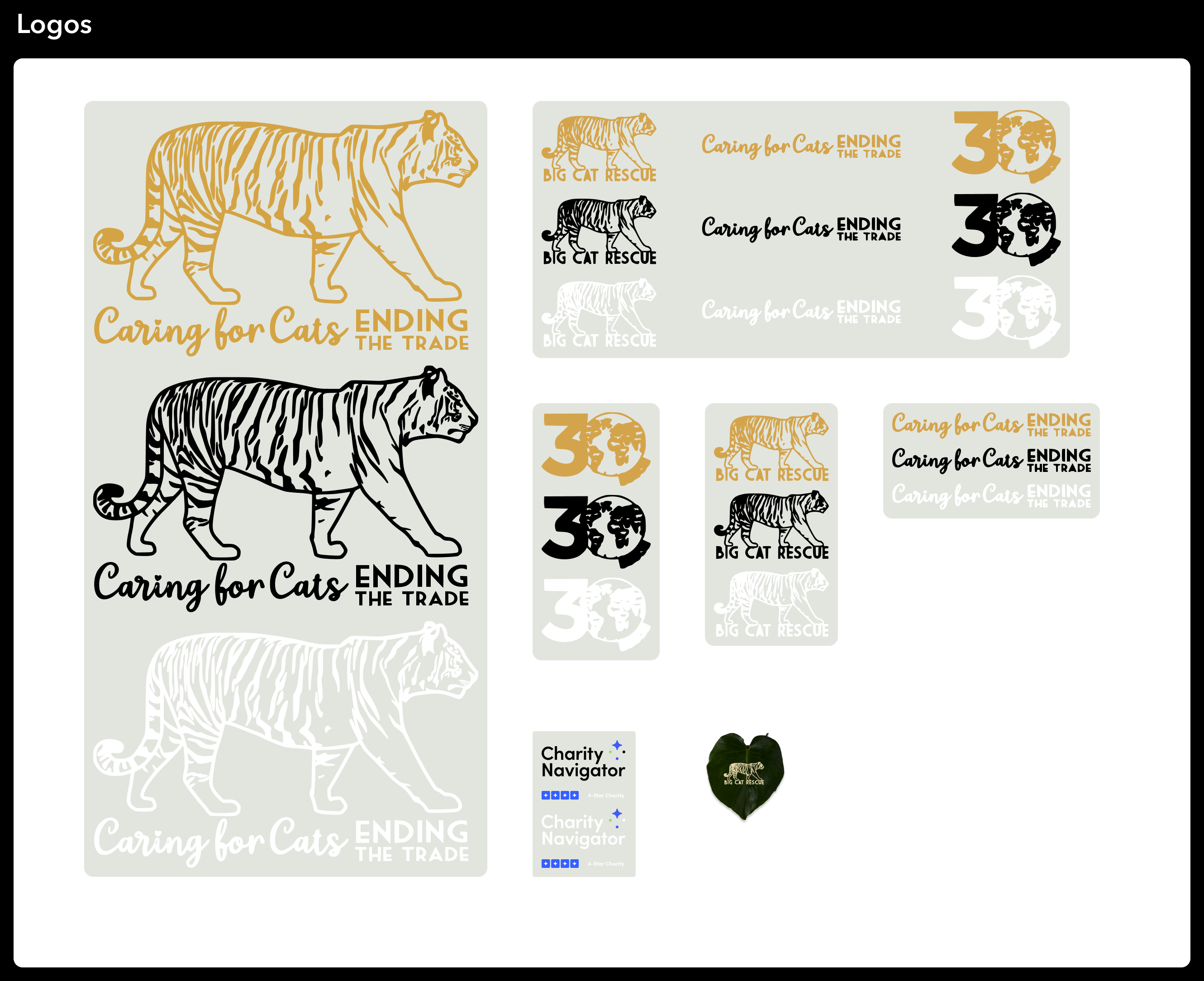 Design system logo lockups: full-color, black, and white versions of the Big Cat Rescue tiger mark, wordmark, and 30th anniversary badge