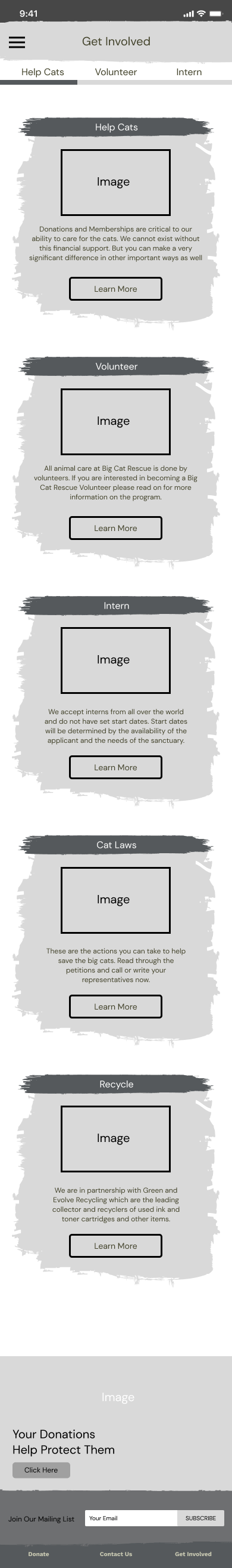 Low-fidelity wireframe of the Get Involved mobile page, showing gray placeholder boxes for Help Cats, Volunteer, Intern, Cat Laws, and Recycle sections with a tab bar at the top